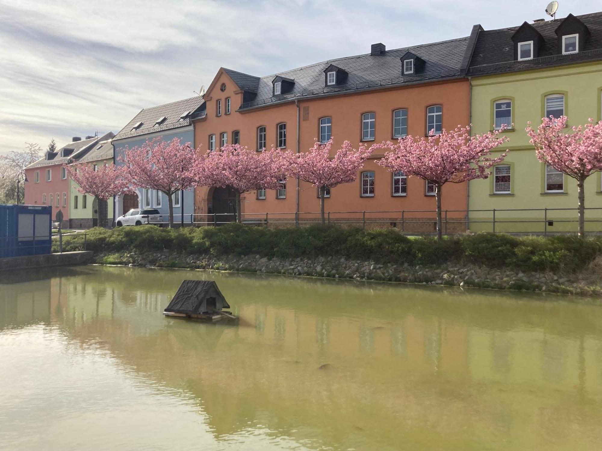 Pension Und Ferienwohnung Am Teich شلايتس المظهر الخارجي الصورة