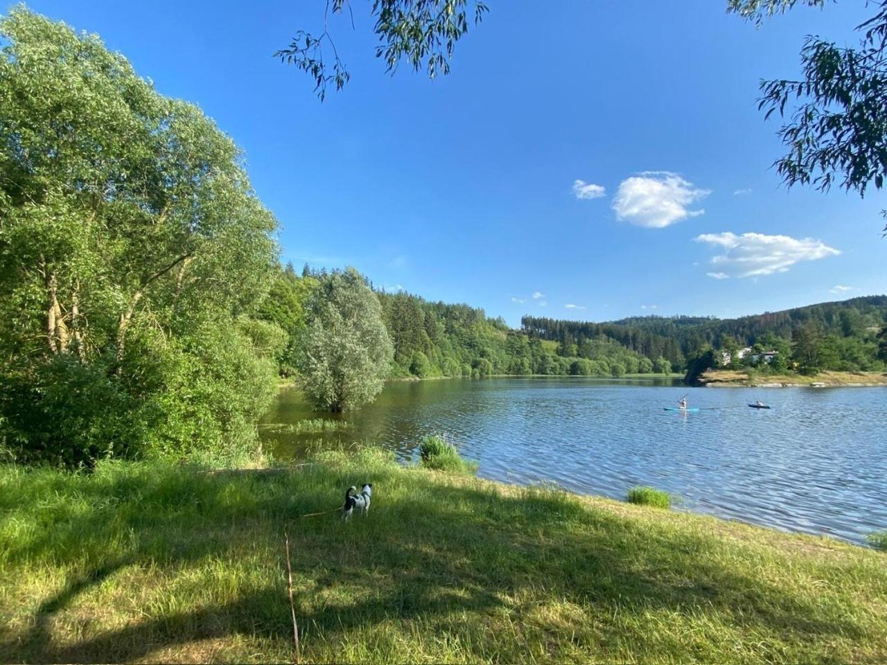 Pension Und Ferienwohnung Am Teich شلايتس المظهر الخارجي الصورة